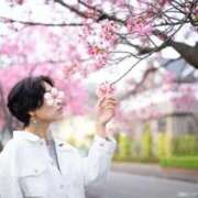 ヒメ日記 2026/04/04 22:57 投稿 ななお ベイキュート