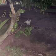 ヒメ日記 2025/06/02 12:55 投稿 れいな ぷよラブ れぼりゅ～しょん