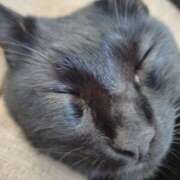 ヒメ日記 2025/07/24 11:30 投稿 れいな ぷよラブ れぼりゅ～しょん