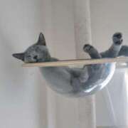 ヒメ日記 2025/07/26 09:04 投稿 れいな ぷよラブ れぼりゅ～しょん