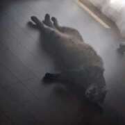 ヒメ日記 2025/09/10 08:04 投稿 れいな ぷよラブ れぼりゅ～しょん