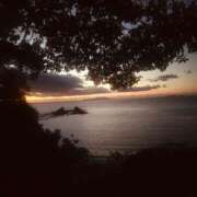 ヒメ日記 2026/01/05 12:31 投稿 れいな ぷよラブ れぼりゅ～しょん