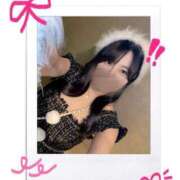 ヒメ日記 2024/12/23 06:32 投稿 ことり お姉京都