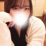 ヒメ日記 2025/03/04 06:50 投稿 ことり お姉京都