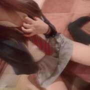 ヒメ日記 2025/03/08 08:42 投稿 ことり お姉京都