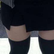 ヒメ日記 2025/04/07 08:12 投稿 ことり お姉京都