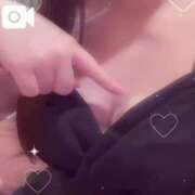 ヒメ日記 2025/04/24 06:42 投稿 ことり お姉京都