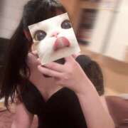 ヒメ日記 2025/04/25 06:42 投稿 ことり お姉京都