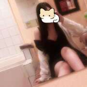 ヒメ日記 2025/06/01 06:38 投稿 ことり お姉京都