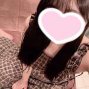 ヒメ日記 2025/06/17 06:42 投稿 ことり お姉京都