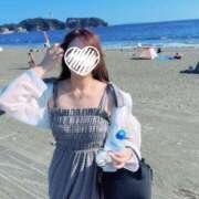 ヒメ日記 2025/06/19 08:32 投稿 ことり お姉京都