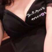 ヒメ日記 2025/06/24 07:37 投稿 ことり お姉京都