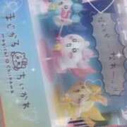 ことり こんにち🐶 お姉京都