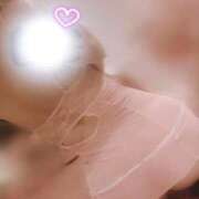 ヒメ日記 2026/02/21 06:04 投稿 ことり お姉京都