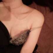 ヒメ日記 2026/03/13 08:12 投稿 ことり お姉京都