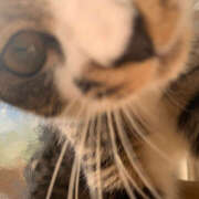 ヒメ日記 2025/05/14 17:06 投稿 なつき MADAME Luxe