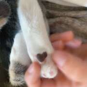 ヒメ日記 2025/10/25 11:30 投稿 なつき MADAME Luxe