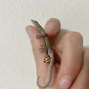 ヒメ日記 2025/11/19 12:46 投稿 なつき MADAME Luxe