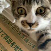 ヒメ日記 2025/12/12 20:56 投稿 なつき MADAME Luxe