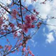 ヒメ日記 2026/02/19 12:30 投稿 なつき MADAME Luxe