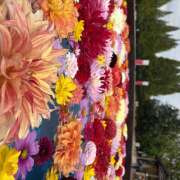 ヒメ日記 2026/09/14 19:12 投稿 なつき MADAME Luxe