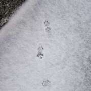 ヒメ日記 2025/02/15 18:48 投稿 ほのか MADAME Luxe