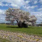 ヒメ日記 2025/04/26 09:24 投稿 あすか 熟女の風俗最終章 仙台店