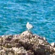 ヒメ日記 2025/07/23 09:34 投稿 あすか 熟女の風俗最終章 仙台店