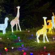 ヒメ日記 2025/08/22 11:46 投稿 あすか 熟女の風俗最終章 仙台店