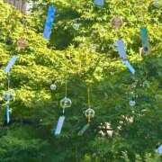 ヒメ日記 2025/08/30 10:19 投稿 あすか 熟女の風俗最終章 仙台店