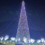 ヒメ日記 2025/10/09 09:24 投稿 あすか 熟女の風俗最終章 仙台店