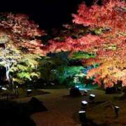 ヒメ日記 2025/11/09 09:27 投稿 あすか 熟女の風俗最終章 仙台店