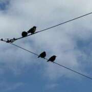 ゆあ あったかいねー I♥KASUKABE(アイラブ春日部)