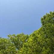 ヒメ日記 2026/07/15 16:55 投稿 ゆあ I♥KASUKABE(アイラブ春日部)