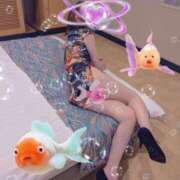 ヒメ日記 2024/12/30 13:05 投稿 篠原 ちさと こあくまな熟女たち 広島店（KOAKUMAグループ）