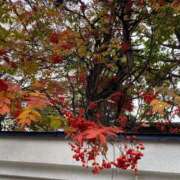 ヒメ日記 2024/12/19 12:29 投稿 きみか 完熟ばなな札幌・すすきの