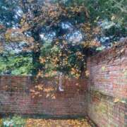 ヒメ日記 2024/12/20 07:59 投稿 きみか 完熟ばなな札幌・すすきの