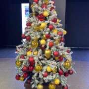 ヒメ日記 2024/12/25 23:30 投稿 きみか 完熟ばなな札幌・すすきの