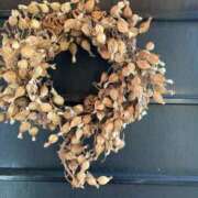 ヒメ日記 2025/02/26 10:49 投稿 きみか 完熟ばなな札幌・すすきの