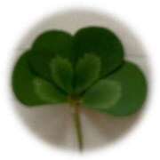 ヒメ日記 2025/05/26 11:40 投稿 きみか 完熟ばなな札幌・すすきの