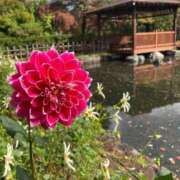 ヒメ日記 2025/10/22 22:49 投稿 きみか 完熟ばなな札幌・すすきの