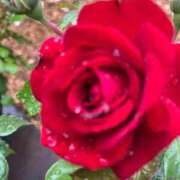 ヒメ日記 2025/10/24 10:39 投稿 きみか 完熟ばなな札幌・すすきの