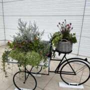 ヒメ日記 2025/11/23 22:38 投稿 きみか 完熟ばなな札幌・すすきの