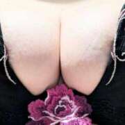 ヒメ日記 2025/12/14 08:21 投稿 前田るみ ミセス大阪十三店