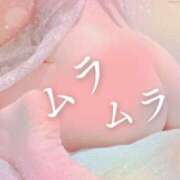 ヒメ日記 2025/10/10 13:18 投稿 宇原　なずな プルプル人妻専門店