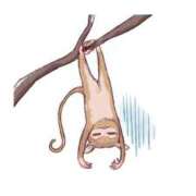 ヒメ日記 2025/08/20 00:12 投稿 井上(いのうえ) 八王子人妻城