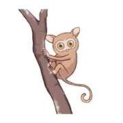 ヒメ日記 2026/01/23 00:18 投稿 井上(いのうえ) 八王子人妻城