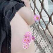 ヒメ日記 2026/03/30 11:48 投稿 井上(いのうえ) 八王子人妻城