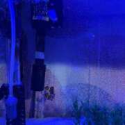 ヒメ日記 2026/05/02 13:27 投稿 井上(いのうえ) 八王子人妻城