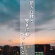 ヒメ日記 2024/02/06 08:51 投稿 恵梨(えり) グランドオペラ福岡